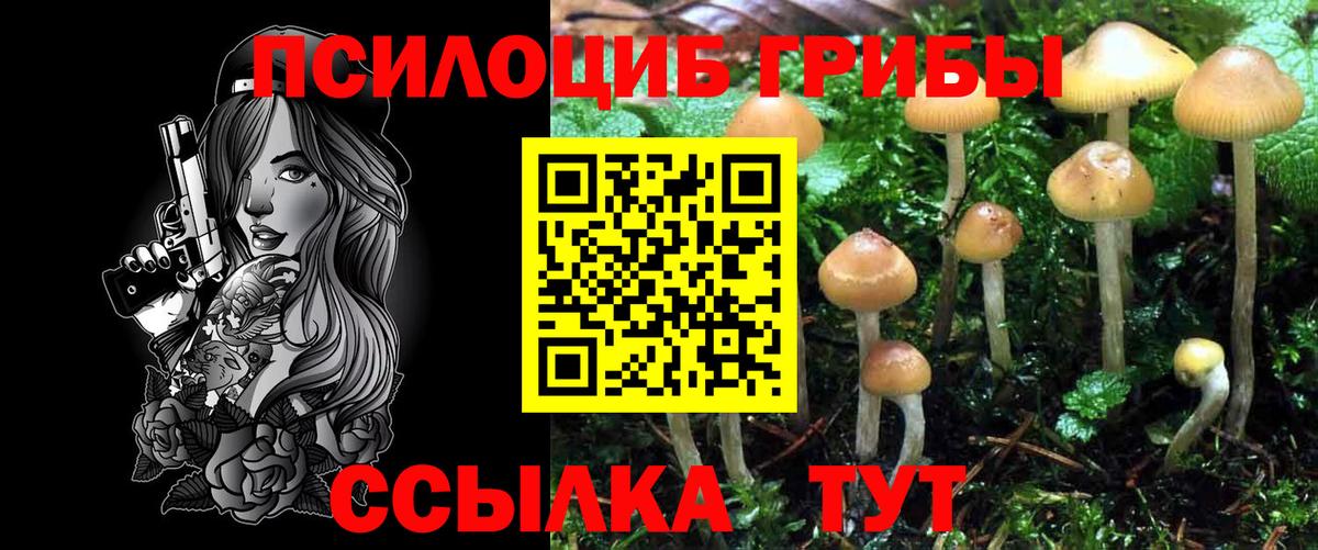 Псилоцибиновые грибы ЛСД Ярославль