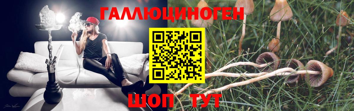 Галлюциногенные грибы Psilocybe  Вход с VPN  Псилоцибиновые грибы ЛСД  Ярославль 